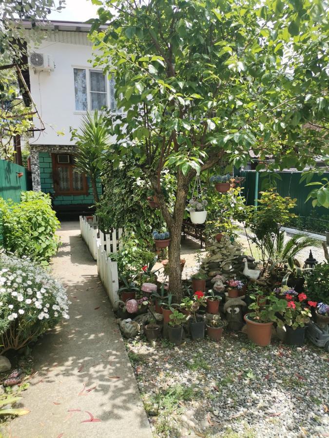 Гостевой Дом В Гаграх"Море Солнца" Gagra Bagian luar foto
